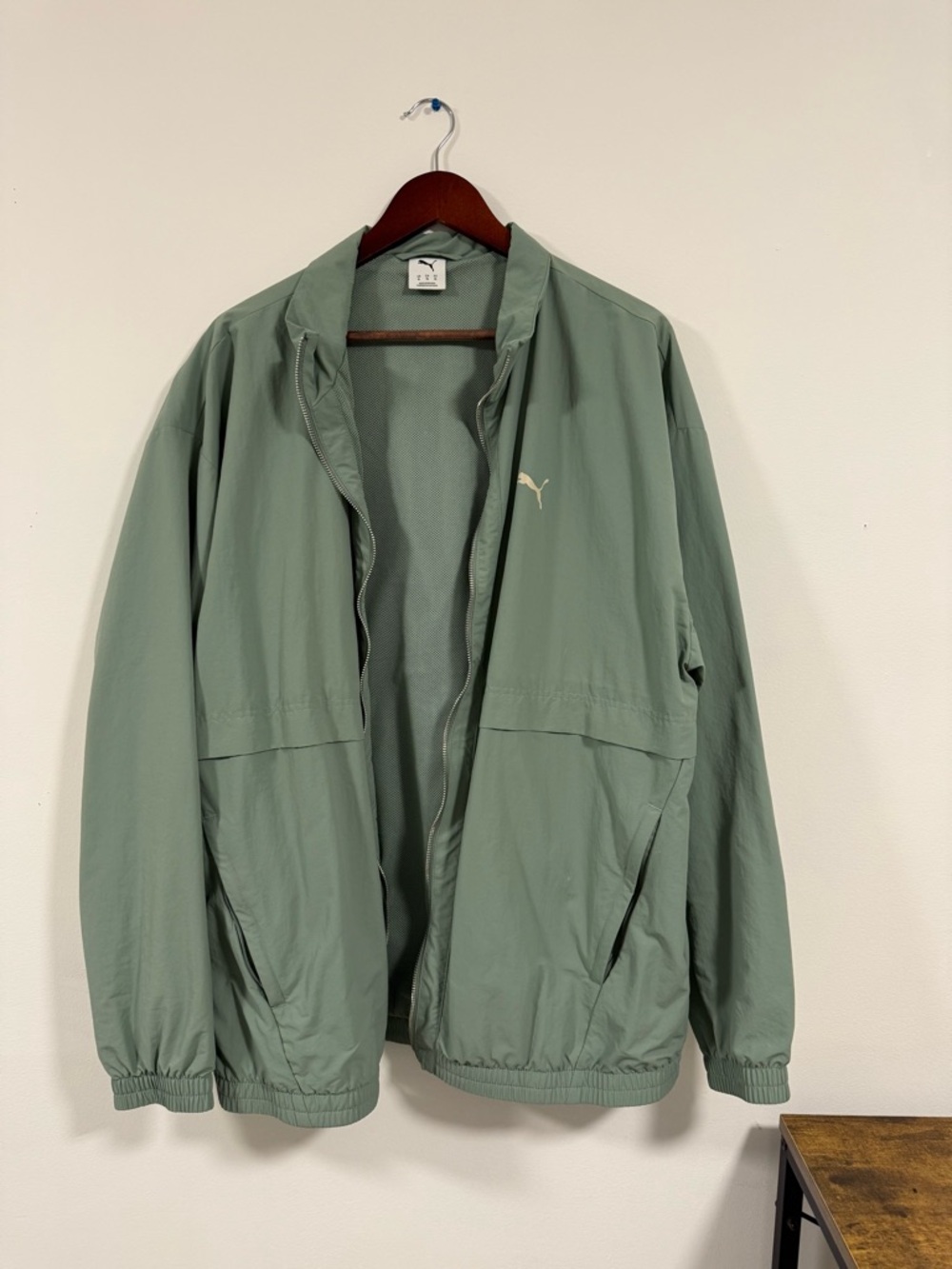 PUMA Men's Light Sage Green Windbreaker Jacket